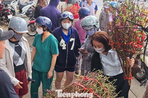Đà Nẵng: Hoa Tết đắt hàng trên 'chợ mạng'
