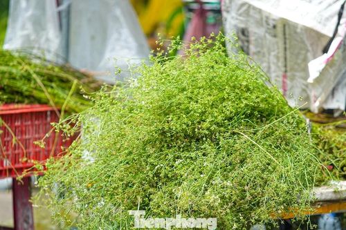 Người Hà Nội 'săn' mùi già về tắm gột rửa bụi trần, mong cầu may mắn