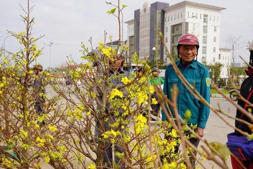 29 Tết: Tiểu thương xả hàng kịch sàn, nhiều người đổ xô 'chốt' cây