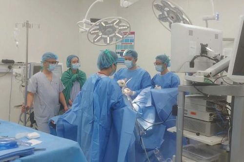 Về quê ăn Tết, người phụ nữ trọng thương do trâu húc