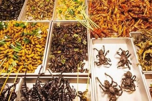 'Món lạ' trong mâm Tất niên khiến người đàn ông cầu cứu bác sĩ