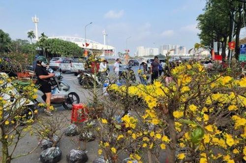 Chiều cuối năm Hà Nội: Khoảng lặng giữa nhịp thở thời đại