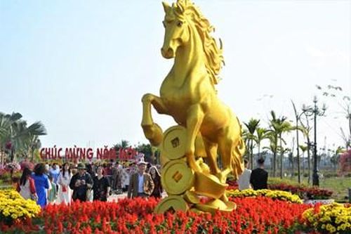 Đường hoa Hải Phòng nhộn nhịp chiều cuối năm, không khí đón Xuân rực rỡ