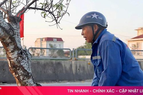 Miệt mài mưu sinh ngày cuối năm