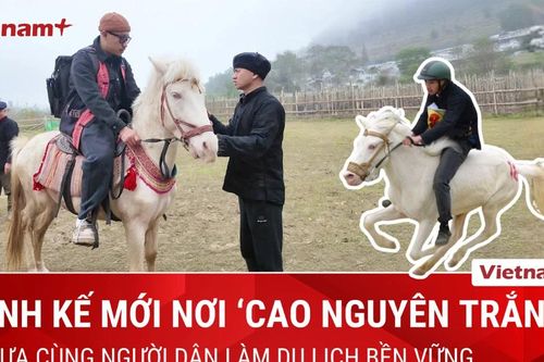 Ngựa tung vó: Điểm nhấn độc đáo hút khách du lịch tới 'cao nguyên trắng'