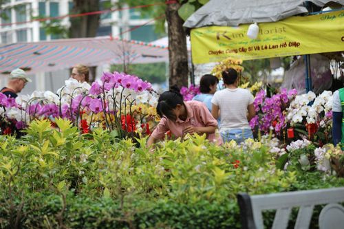 TP Hồ Chí Minh: Các chợ hoa tấp nập người mua sáng 29 Tết