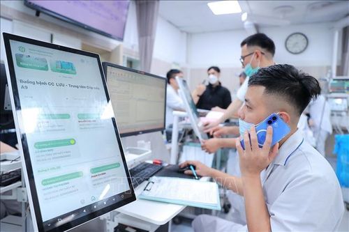 Xuân của những ca trực xuyên giao thừa