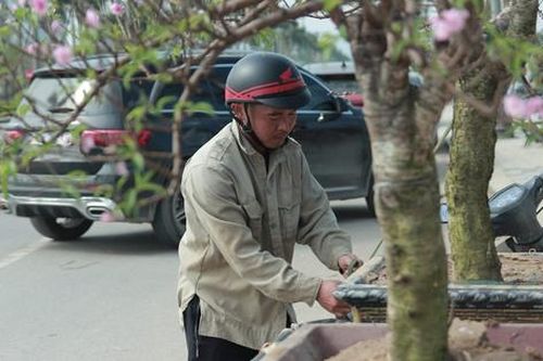 Lao động kiếm tiền triệu bằng nghề 'chở Tết về nhà'