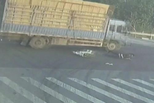 Vượt đèn vàng rồi trượt ngã, thanh niên thoát chết trong tích tắc trước bánh xe tải