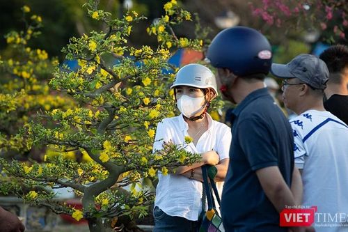 Chợ Hoa xuân Đà Nẵng 'đại hạ giá' chiều 29 Tết Bính Ngọ