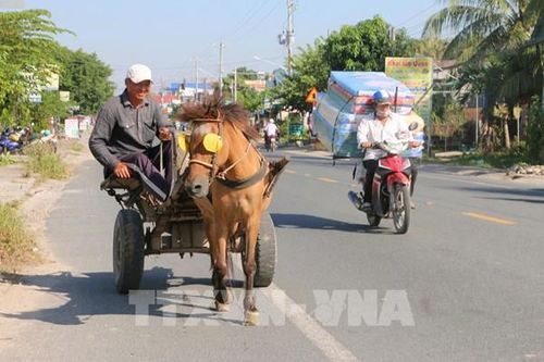 Xe ngựa - Biểu tượng văn hóa 'độc bản' miền biên viễn Tây Nam