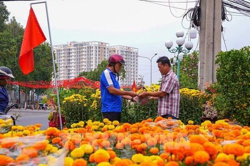 Sắc Xuân tràn ngập, thị trường hoa Tết Tây Ninh khởi sắc