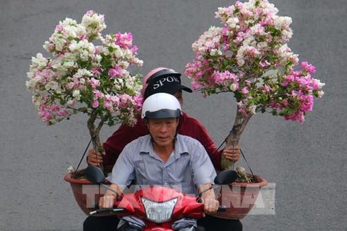 Sắc xuân Cần Thơ với những nụ cười bình dị