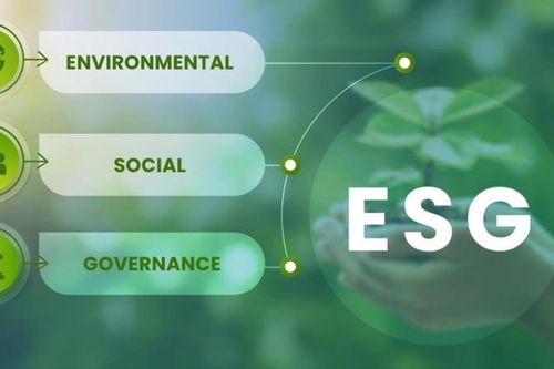 ESG là gì? Tiêu chuẩn đo lường bền vững cho doanh nghiệp