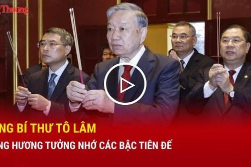 Tổng Bí thư Tô Lâm dâng hương tưởng nhớ các bậc tiên đế