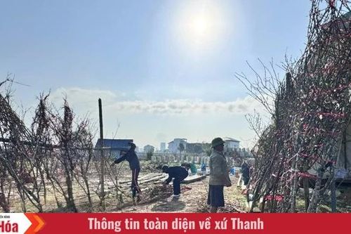 Chở mùa xuân về!