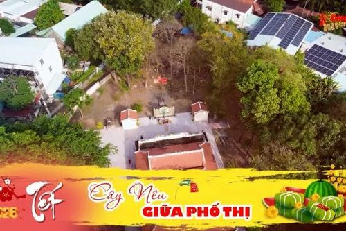 Cây nêu giữa phố thị