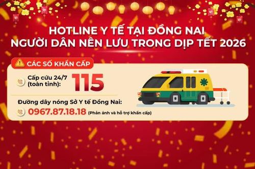 [Infographic] Những số điện thoại 'nóng' nào của ngành y tế tại Đồng Nai mà người dân nên lưu trong dịp Tết?
