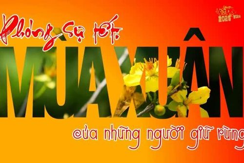 Mùa xuân của những người giữ rừng
