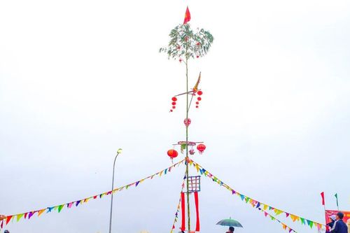 Dựng nêu đón Tết - gợi sắc xuân từ mỹ tục xưa