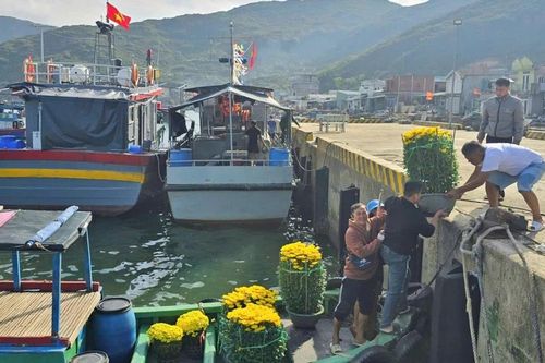 Nhộn nhịp những chuyến tàu ra đảo Cù Lao Xanh