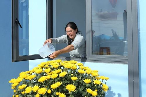 Hồi sinh sau bão lũ, rộn ràng đón Xuân