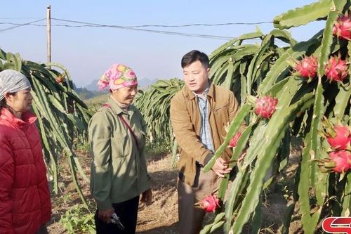 Thi đua 'Dân vận khéo' - Thực chất, hiệu quả