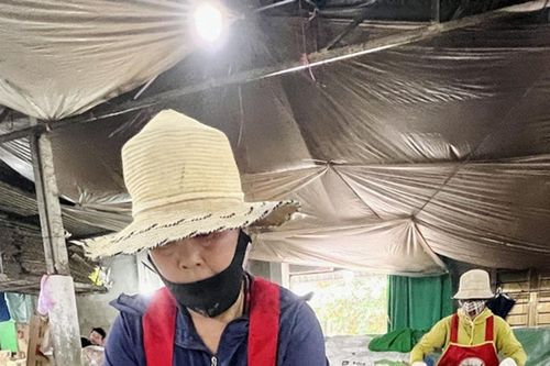 Mứt gừng Mỹ Chánh: Hương vị nồng nàn ngày Tết cổ truyền