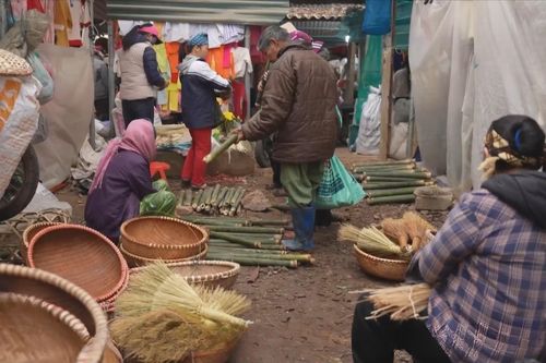 Sắc xuân ngập tràn các chợ Tết Hà Nội