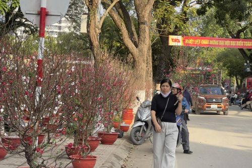 Chủ động ứng phó đợt rét đậm, các tình huống thiên tai trong dịp Tết Nguyên đán