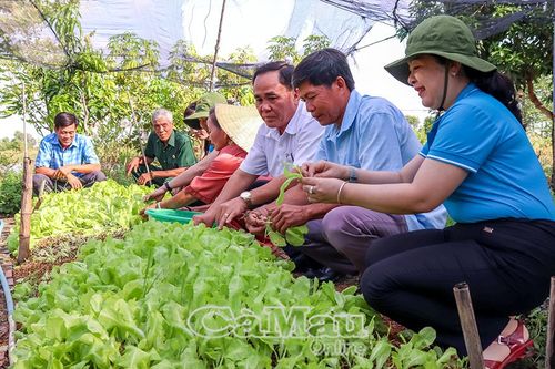 Xuân về trên vùng nước mặn