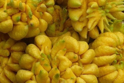 Chọn phật thủ cúng Tết, nhớ đếm theo quy luật này, vận khí may mắn, cả năm thịnh vượng
