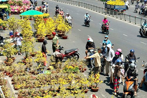 Hết hàng sớm, chợ hoa Tết TP.HCM không còn cảnh đập bỏ hoa