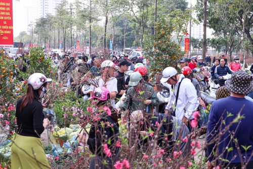 Chen chân mua đào, quất xả giá 'cắt lỗ' chiều 29 Tết ở Hà Nội