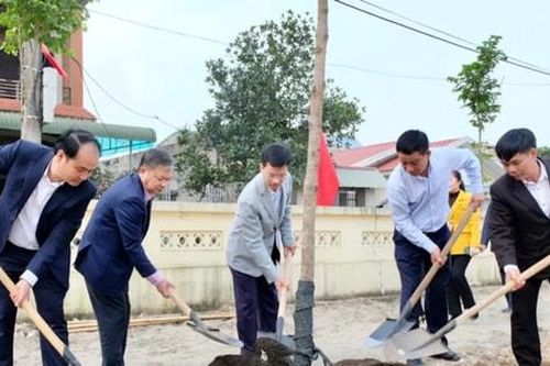 Xã Nội Bài vận động mỗi gia đình trồng mới từ 1 đến 2 cây xanh