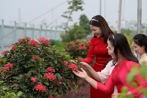 Phú Xuyên rộn ràng vào xuân