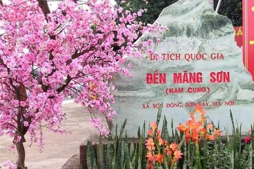 Ngoại thành rực rỡ sắc xuân đón chào năm mới Bính Ngọ 2026