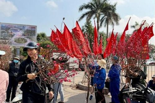 Thời gian ngưng đọng trên những cánh đào