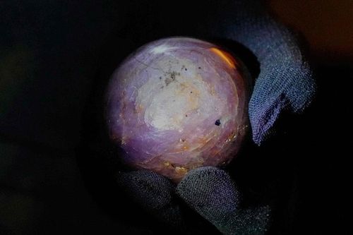 Công bố viên sapphire sao tím quý hiếm lớn chưa từng thấy