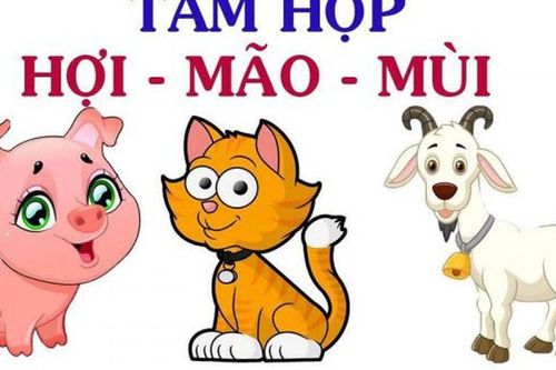 Việc cần làm của 3 con giáp gặp Tam Tai 2026 Hợi – Mão – Mùi ngay ngày đầu năm mới để hóa giải, đón may mắn