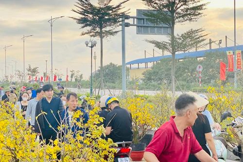 Người dân tất bật mua sắm hàng hóa, cây hoa cảnh ngày 29 Tết