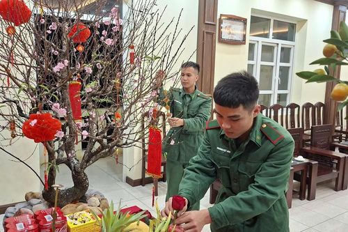 Đảo Trần những ngày áp Tết