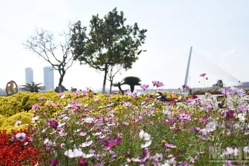 Giữa khoảng lặng mùa xuân thành phố