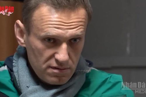 Nga bác cáo buộc đầu độc nhà hoạt động chính trị A. Navalny