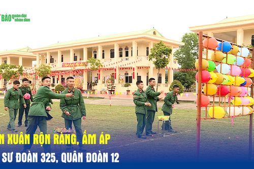 Đón Xuân rộn ràng, ấm áp tại Sư đoàn 325, Quân đoàn 12
