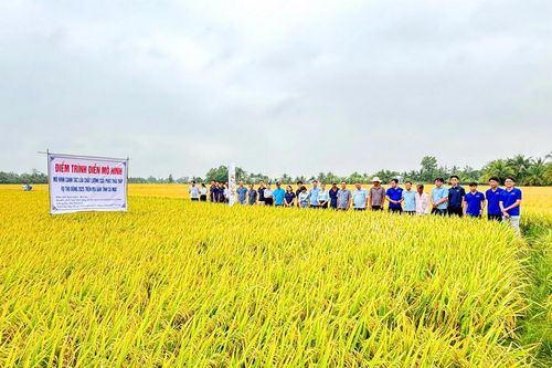 Xã Vĩnh Mỹ (Cà Mau): Tạo nền tảng vững chắc cho nhiệm kỳ phát triển mới