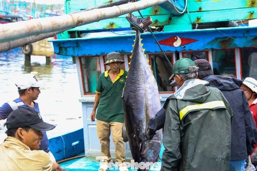 Xuyên Tết bám biển, ngư dân kể chuyện đón giao thừa giữa trùng khơi