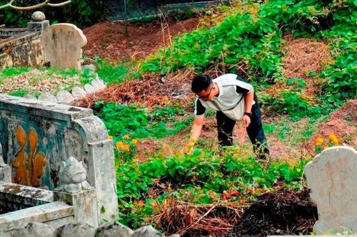 Người dân Huế đi chùa cầu bình an, viếng mộ tổ tiên ngày đầu năm