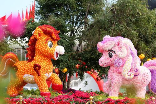Đại lộ hoa bên vịnh Hạ Long rực rỡ sắc màu, hút khách du xuân