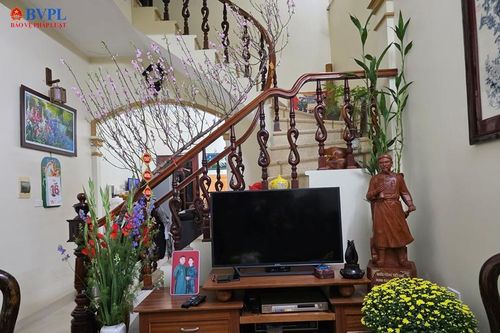 Tết nở từ đất: Lời tri ân những người mang mùa xuân đến mọi nhà